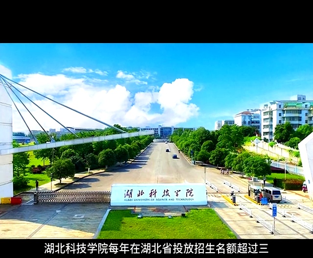 湖北科技学院2024年高考分数线大幅下滑 考生选择背后的理性与焦虑