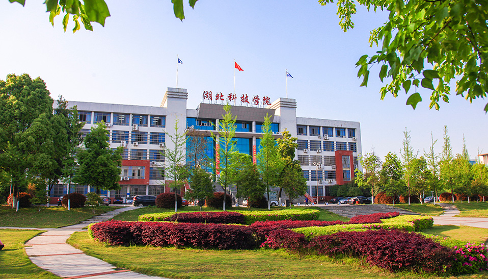 湖北科技职业学院学生QQ群指南 官方群与新生入群全攻略